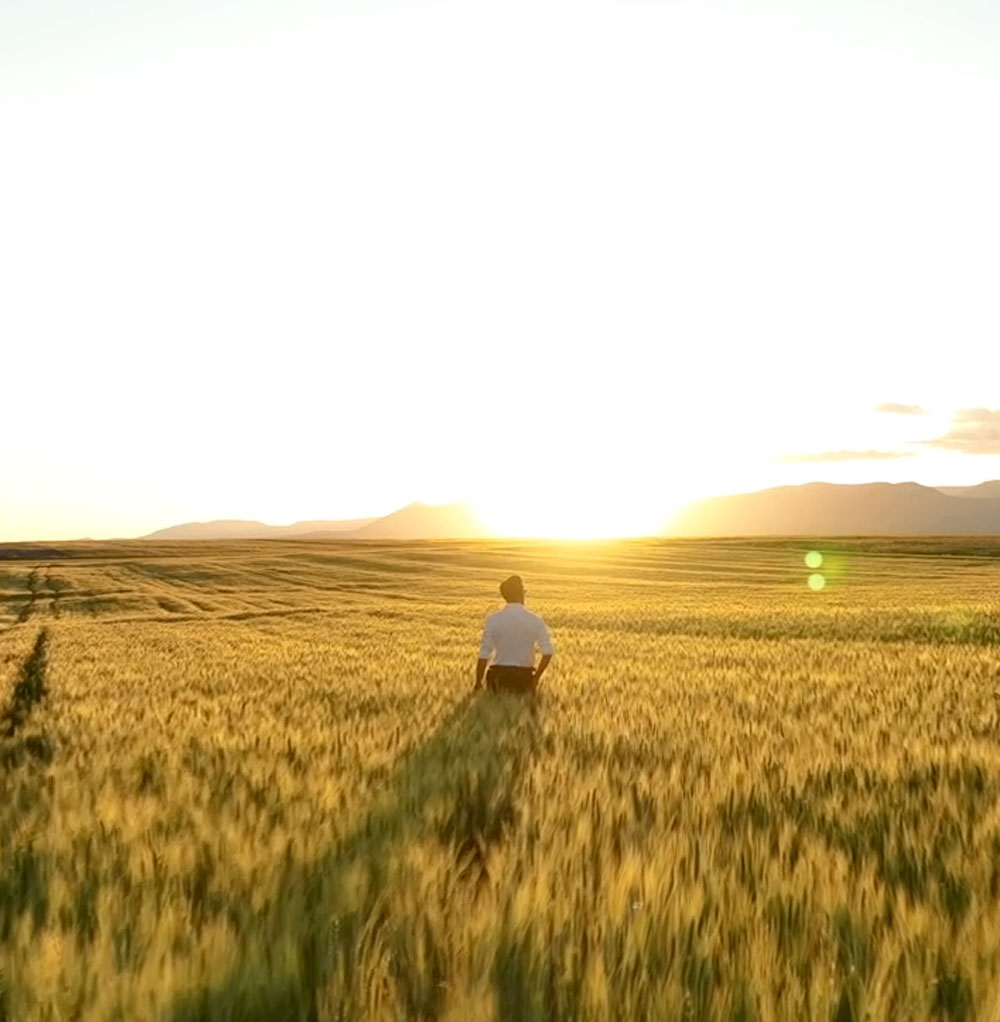 Ulusal TV kanallarında yayınlanan reklam filmlerimiz 2024